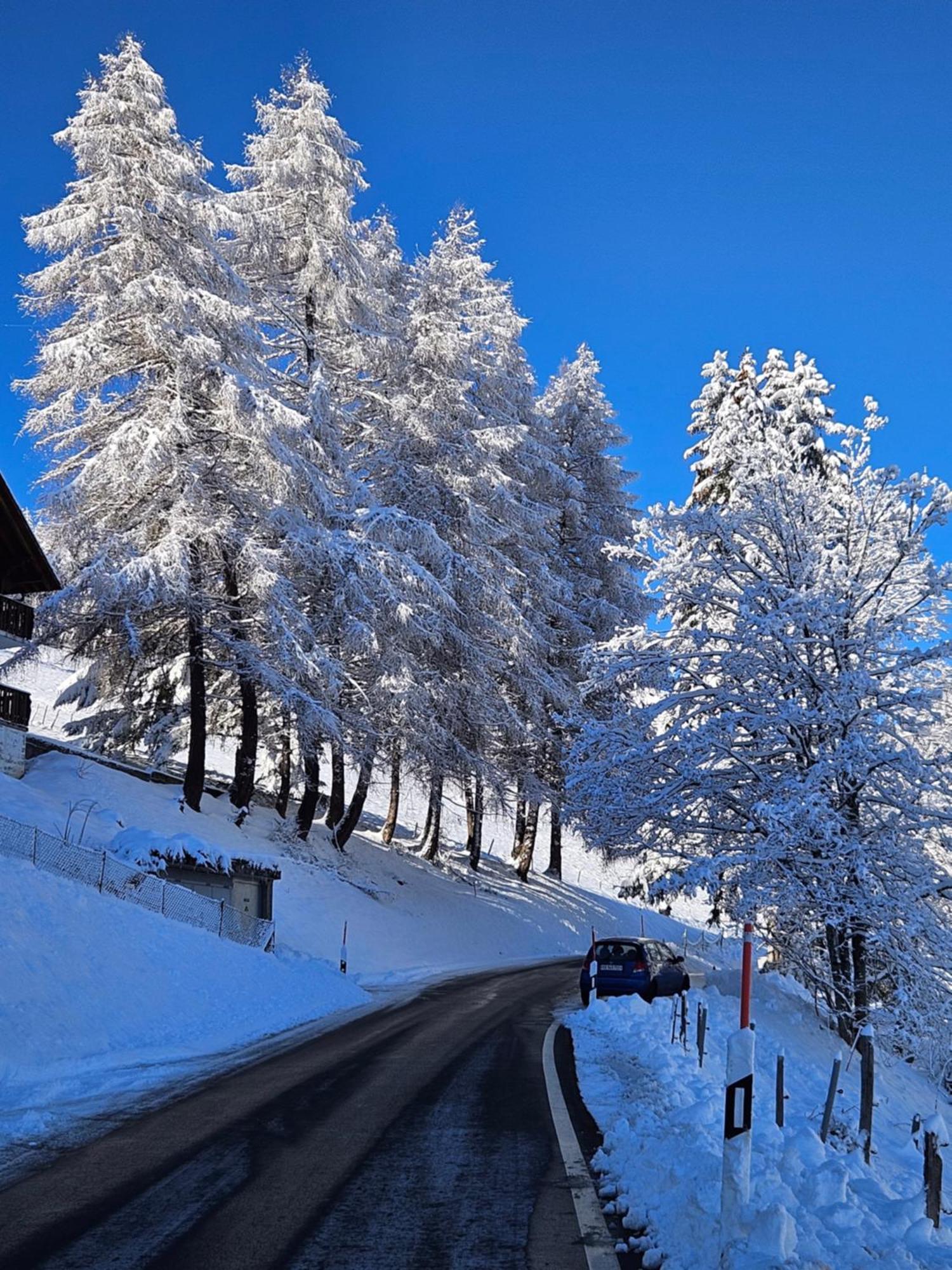 Troistorrents Sweet & Cosy Chalet In The Heart Of The Swiss Alps מראה חיצוני תמונה